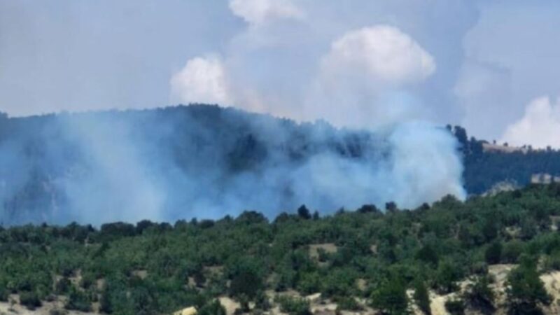 Çorum'un Çalyayla köyünde bulunan ormanlık alanda henüz bilinmeyen nedenle yangın