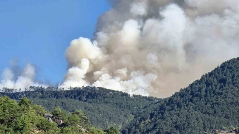 Karabük'te çıkan orman yangınını söndürmek için çalışma başlatıldı.