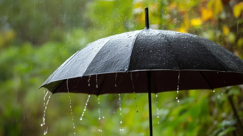 Meteoroloji Genel Müdürlüğü, 4 Ağustos Pazartesi gününe ilişkin hava durumu