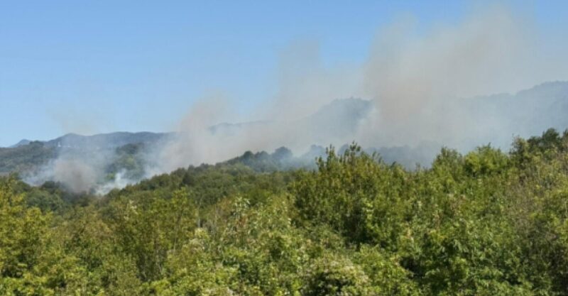 Meteoroloji Genel Müdürlüğü (MGM), Kastamonu ve Karabük’te süren orman yangınlarından
