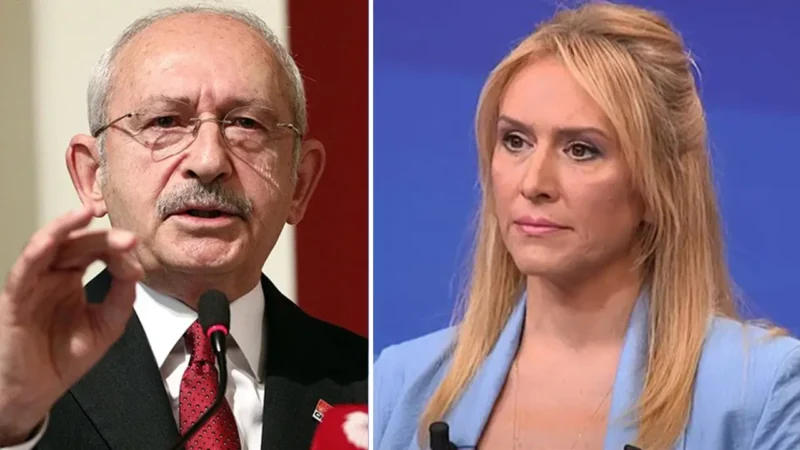 Bir dönem Memleket Partisi Sözcülüğü görevini yürüten Prof. Dr. İpek