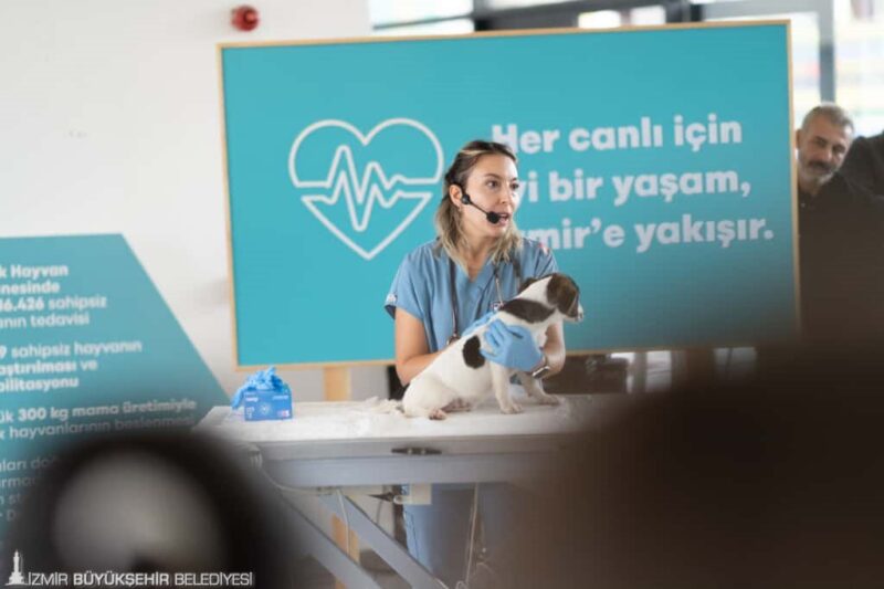İzmir Büyükşehir Belediyesi, 4 Ekim Dünya Hayvanları Koruma Günü nedeniyle,