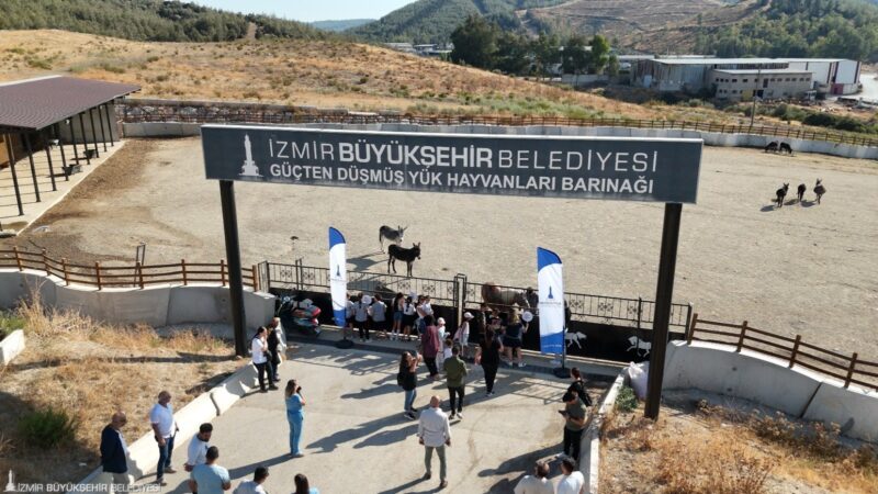 
İzmir Büyükşehir Belediyesi’nin sunduğu eğitim hizmetlerinden biri olan İngilizce Speaking