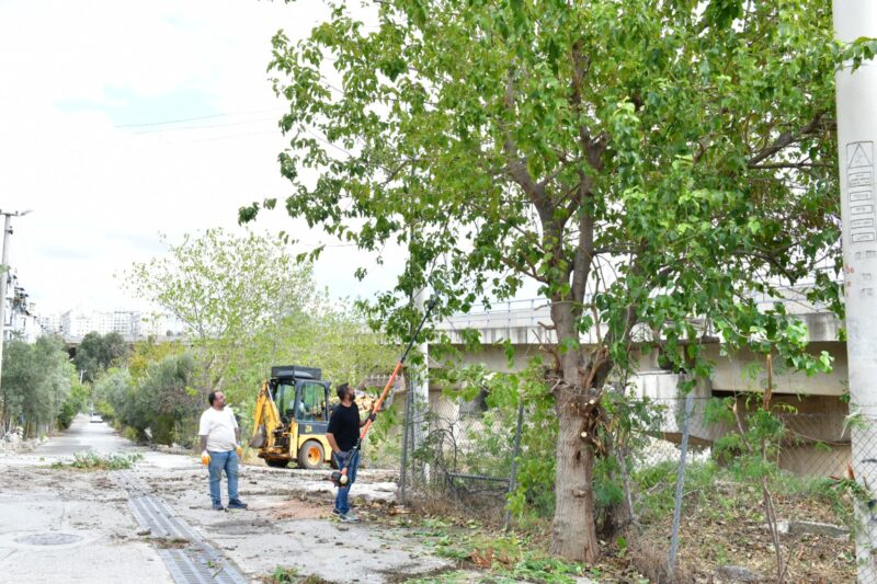 Çiğli Belediyesi, çevre düzenleme ve bakım çalışmalarını sonbahar mevsiminde de