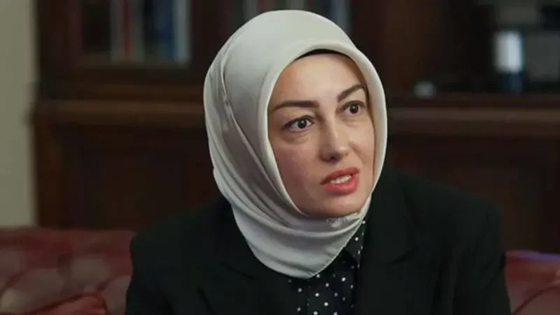 Ayşe Ateş, Sinan Ateş dosyasında ayrılan dava ve Ülkü Ocakları