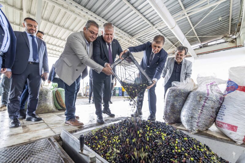 Urla, binlerce yıllık zeytin kültürünü sanatın birleştirici gücüyle buluşturmaya hazırlanıyor.