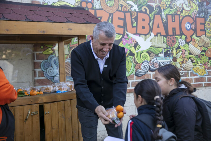Güzelbahçe belediyesi, mevsiminde toplanması gereken mandalinayı dalında kalıp satılmadığı için