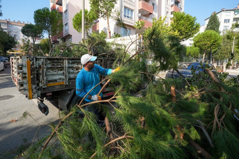 Gaziemir Belediyesi, budama çalışmaları sonucunda ortaya çıkan bahçe atıklarının cadde,