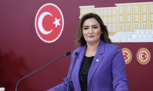 CHP İzmir Milletvekili Sevda Erdan Kılıç, bazı yayın kuruluşları ve