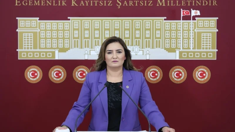 CHP Bornova İlçe Başkanı Ertürk Çapın’ın eleştirilerine sert çıkan CHP