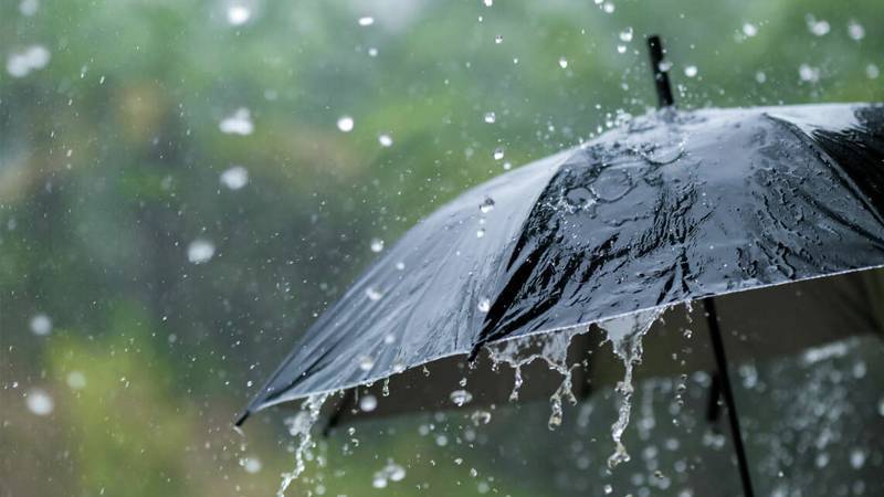 Meteoroloji Genel Müdürlüğü, bu hafta yurt genelinde yağışlı havanın etkili
