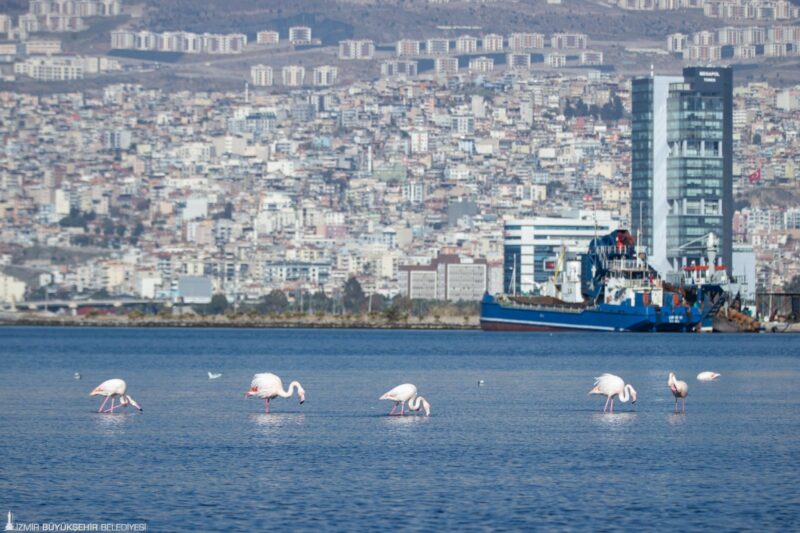 İzmir Büyükşehir Belediyesi iştiraki İZPA’nın “Mercek İzmir” araştırmaları kapsamında hazırladığı