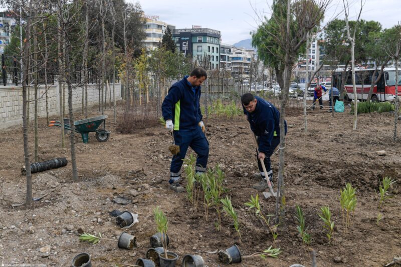 İzmir Büyükşehir Belediyesi, atıl alanları mini ormanlara dönüştürerek kentin yeşil