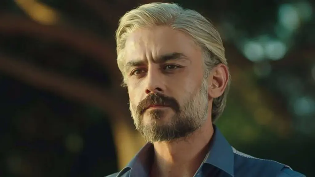 "Hatırla Sevgili", "Çemberimde Gül Oya" ve "Poyraz Karayel," gibi yapımlarda