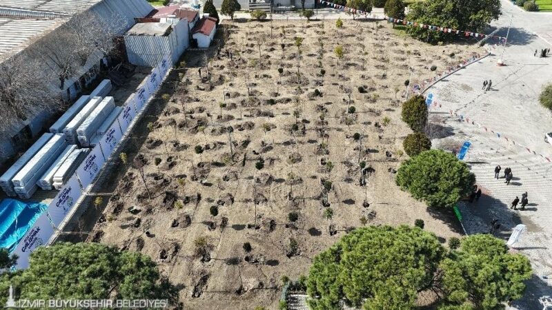 Kültürpark’ta 4 bin 300 metrekarelik gri alan çocukların elleriyle yeşile