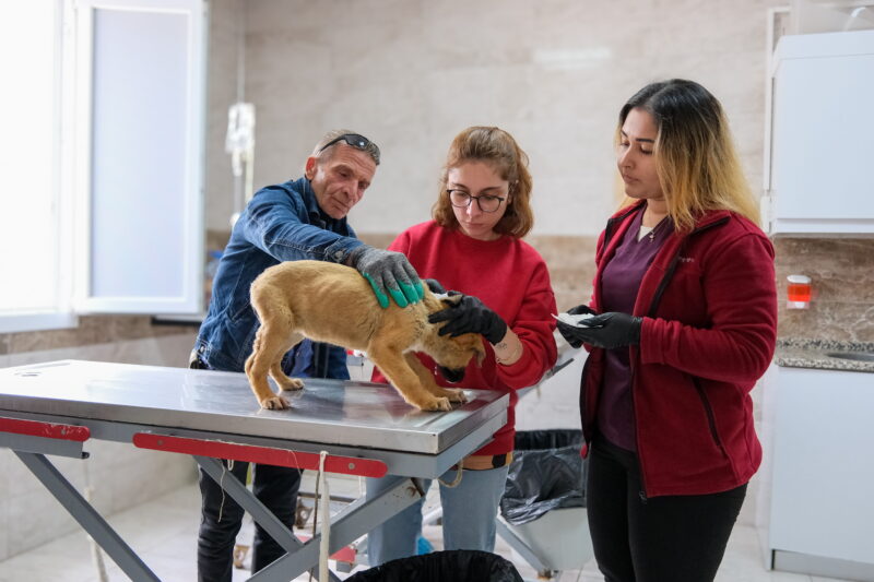 Menemen Belediyesi, ilçedeki tüm canlıların yaşam haklarına verdiği değerle, can