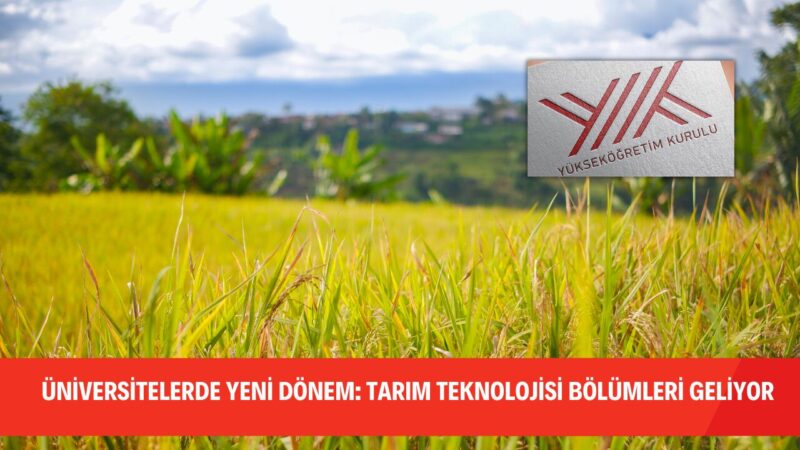 Yükseköğretimde dönüşüm hız kesmeden devam ediyor. Yapay zeka ve bilişim
