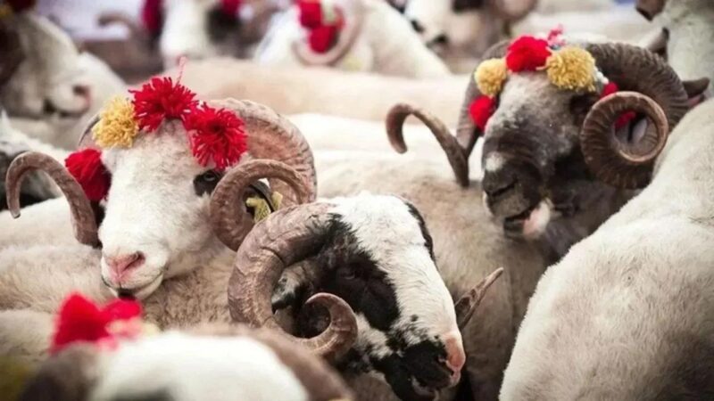 Ramazan Bayramı’nın ardından vatandaşların gözü Kurban Bayramı takvimine çevrildi. 2026