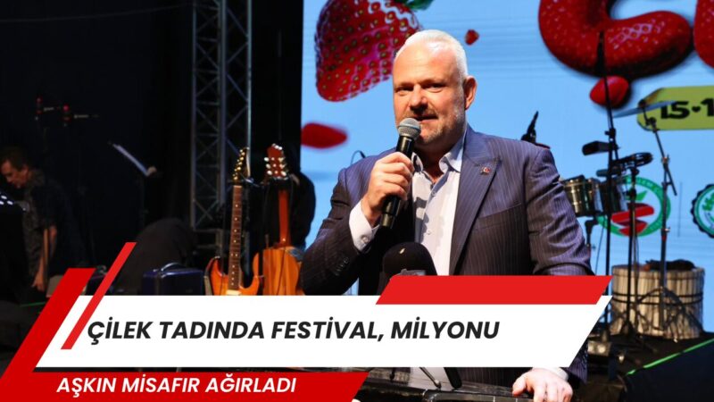 Menemen'de düzenlenen 16. Uluslararası Emiralem Çilek Festivali, 3 günlük unutulmaz