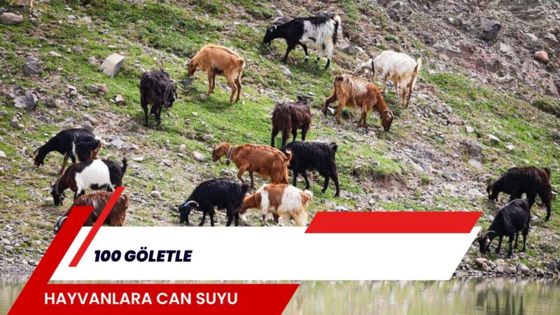İzmir Büyükşehir Belediyesi, kuraklığın kırsaldaki
