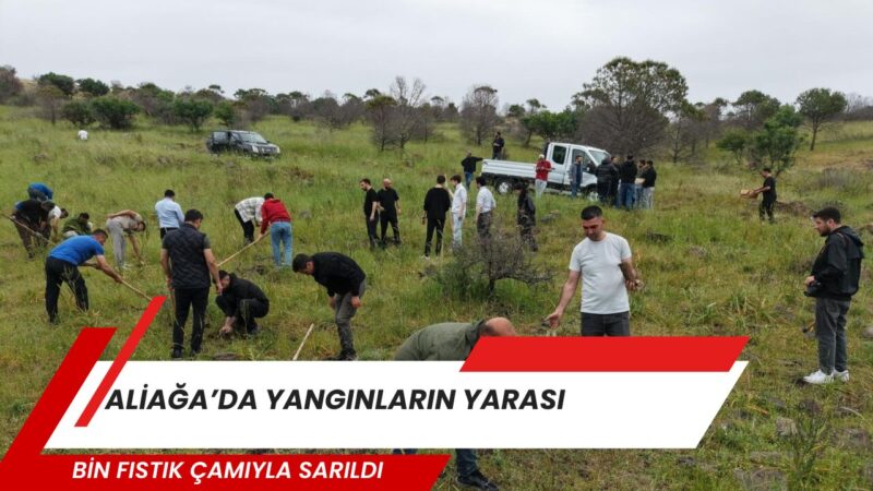“Yeşil İzmir” hedefiyle yürüttüğü ağaçlandırma çalışmaları kapsamında yangından zarar gören