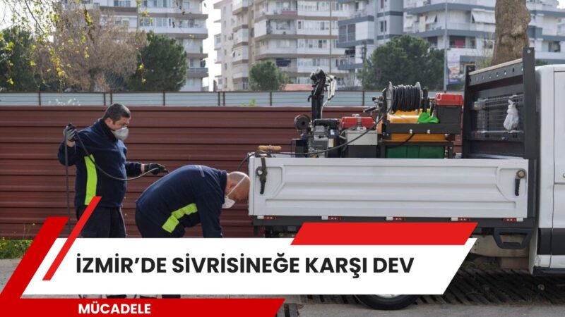 İzmir Büyükşehir Belediyesi, iklim değişikliği nedeniyle üreme süreleri uzayan sivrisinek