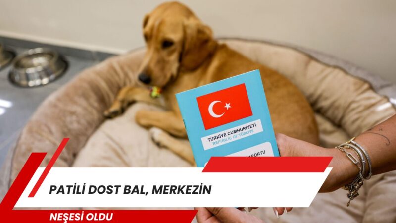 İzmir'de sokağa terk edilen ve İzmir Büyükşehir Belediyesi Yurdoğlu Engelli