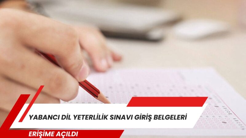 Milli Eğitim Bakanlığı (MEB), Uluslararası Diploma ve Sertifika Programı (UDSP)