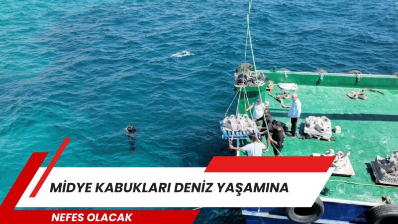 İzmir Büyükşehir Belediyesi iştiraki İZDENİZ ile ekolojik teknoloji girişimi NE-SEA’nın