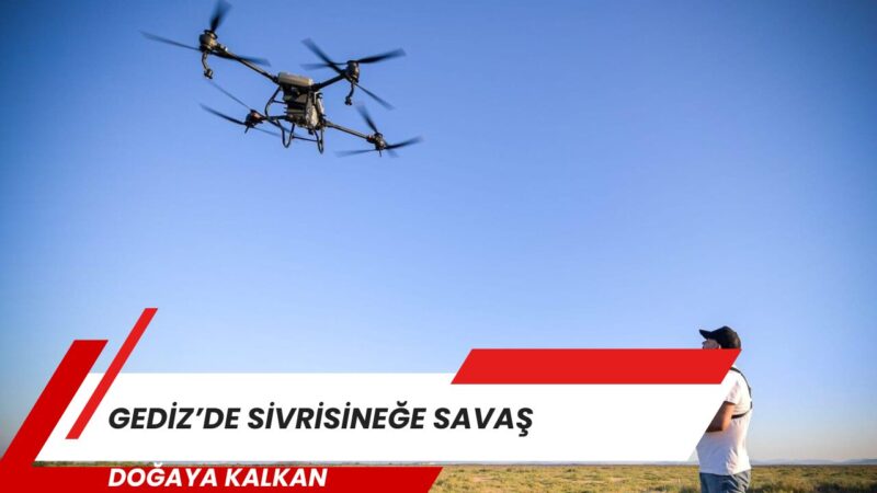 İzmir Büyükşehir Belediyesi, Gediz Deltası’nda bataklıkları kurutmadan sivrisinekle mücadele ediyor.