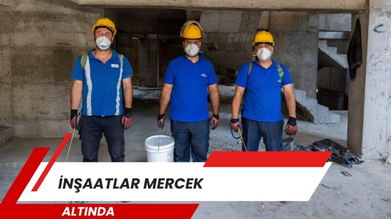 İzmir Büyükşehir Belediyesi, sivrisineklerin en yoğun üreme alanlarından biri olan