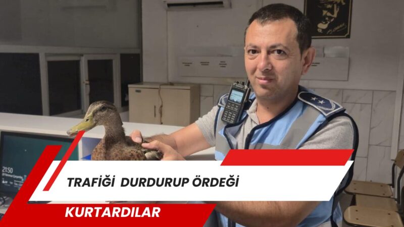 
İzmir Büyükşehir Belediyesi zabıta ekipleri, Karşıyaka'da taksilere yönelik denetm sırasında