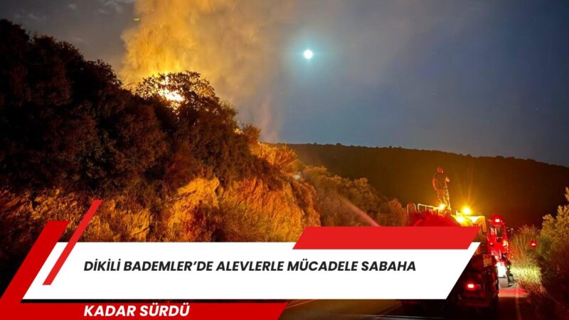 İzmir’in Dikili ilçesine bağlı Bademler Mahallesi’ndeki Yahşi Tepesi'nde makilik alanda