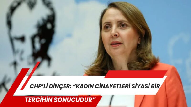 CHP Genel Başkan Yardımcısı ve Ankara Milletvekili Semra Dinçer, TBMM