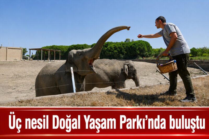 İzmir Büyükşehir Belediyesi'nin Sasalı Doğal Yaşam Parkı'nda düzenlediği gezi programında