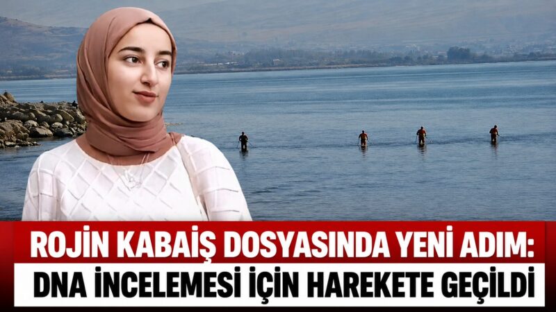 Van'da kaybolduktan sonra yaşamını yitirmiş halde bulunan üniversite öğrencisi Rojin