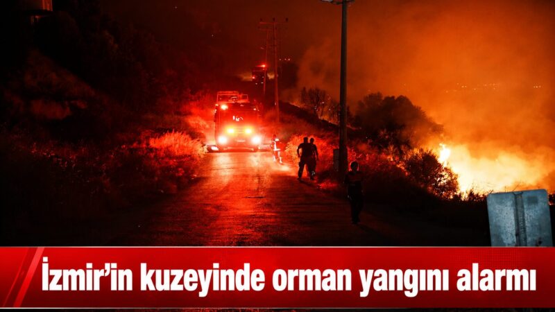 Balıkesir’in Gömeç ilçesinde başlayan orman yangını, kuvvetli rüzgarın etkisiyle İzmir’in