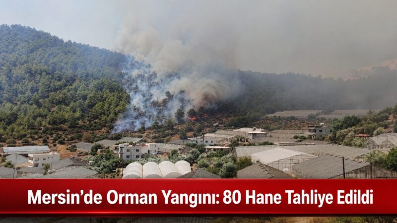 Mersin’in Aydıncık ilçesinde ormanlık alanda çıkan yangına havadan ve karadan