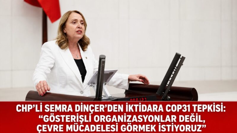 CHP Genel Başkan Yardımcısı ve Ankara Milletvekili Semra Dinçer, TBMM