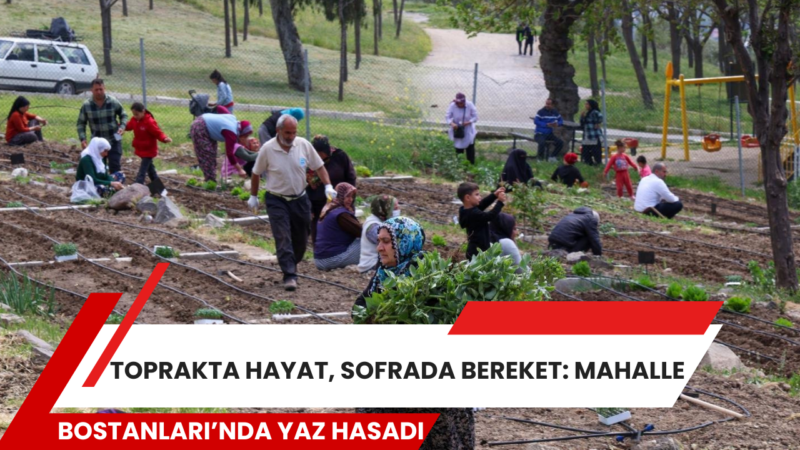İzmir Büyükşehir Belediyesi’nin kent içinde tarımı teşvik eden ve kadın