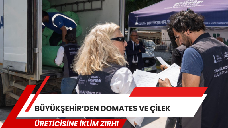 İzmir Büyükşehir Belediyesi, domates ve çilek üreticilerinin bir yıllık emeğini