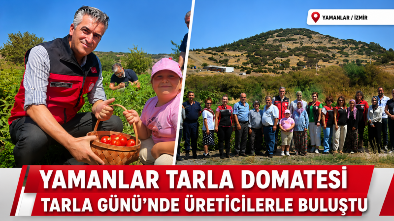 İzmir’in yerel tarımsal değerlerinden biri olan Yamanlar Tarla Domatesi için