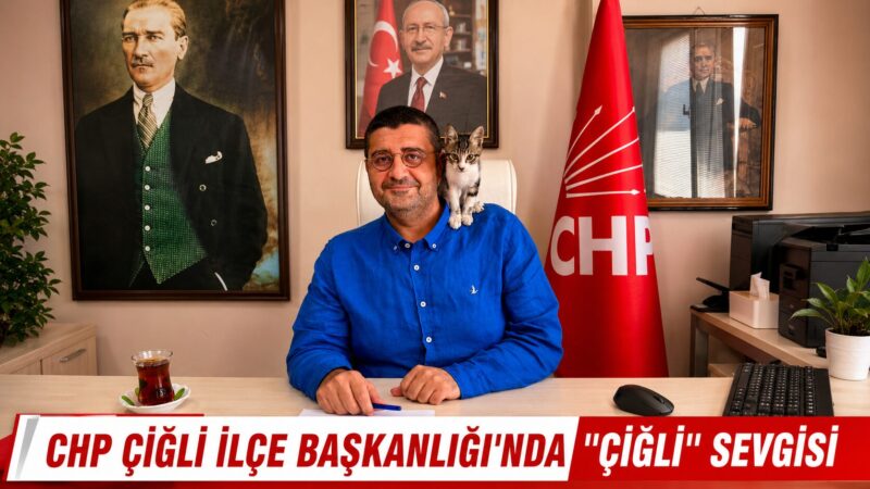 Sokaktan Sahiplendikleri Yavru Kedi İlçe Başkanlığının Neşesi Oldu