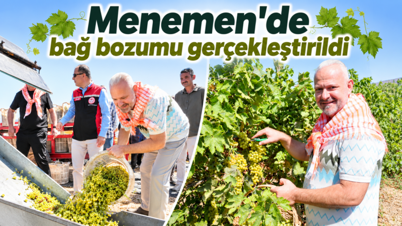Ege'nin üreten kenti Menemen'de bağ bozumu gerçekleştirildi. Türkelli'de Menemen Belediyesi'ne