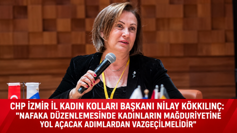 CHP İzmir İl Kadın Kolları Başkanı Av. Nilay Kökkılınç, Anayasa