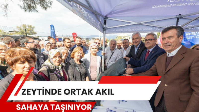 Türkiye’nin yağlık zeytin üretiminin yüzde 20’sini karşılayan İzmir’de, zeytinin geleceği