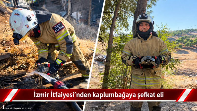 İzmir Büyükşehir Belediyesi İtfaiye Dairesi Başkanlığı ekipleri, Bergama’da çıkan ot