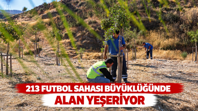 İzmir Büyükşehir Belediyesi, 13 ağaçlandırma sahasında toplam 1 milyon 522